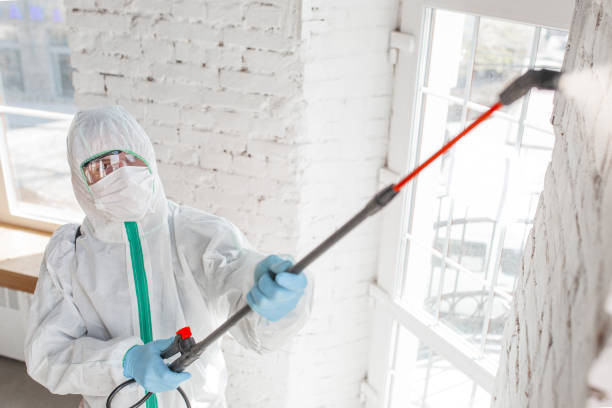  Mcminnville, OR Mold Removal Pros