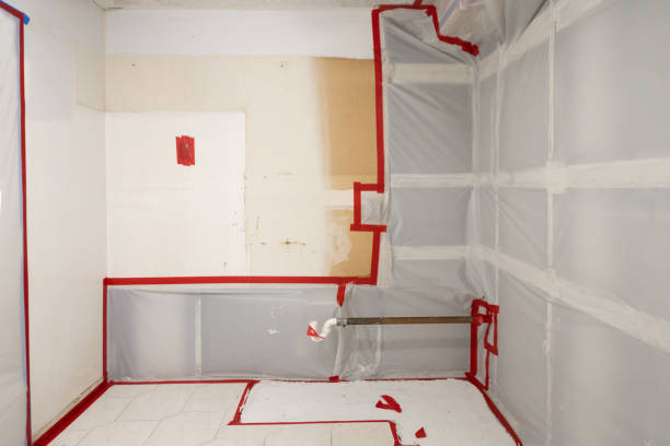 Best Black Mold Removal  in Mcminnville, OR