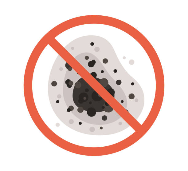 Best Mold Odor Removal Services  in Mcminnville, OR