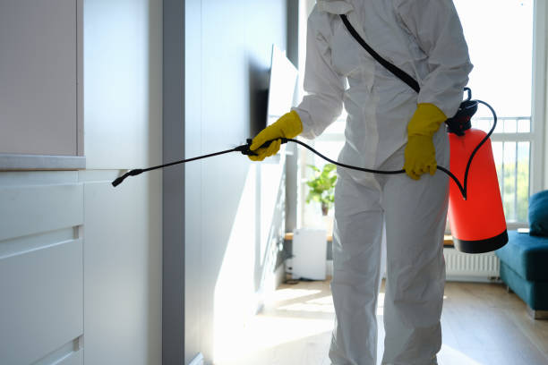 Professional Mold Removal in Mcminnville, OR