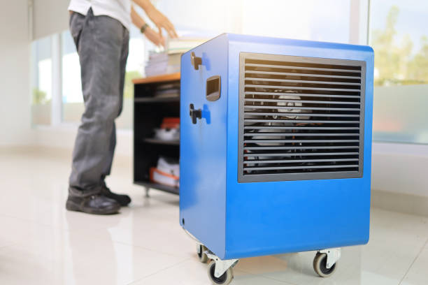 Best HVAC Mold Inspection and Cleaning  in Mcminnville, OR