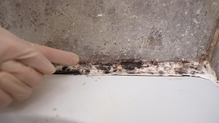Best Dehumidification Services  in Mcminnville, OR